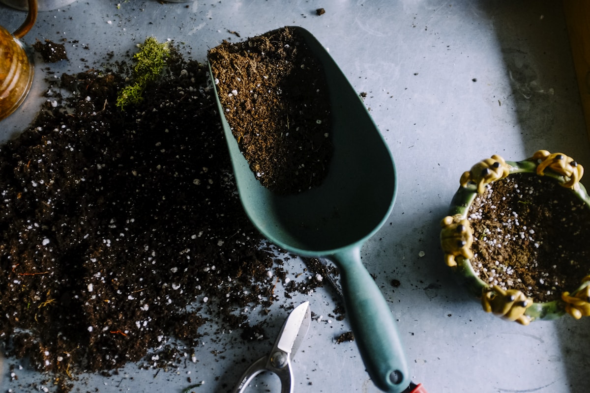 Build a Self-Watering Herb Garden event in Asuncion Paraguay